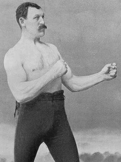 boxer.jpg